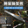 摘果剪3米5米高枝剪高空剪鋸摘果器荔枝龍眼黃皮采果園林工具