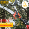 進(jìn)口園藝伸縮高空剪高枝剪子高空鋸樹(shù)枝剪刀修枝剪園林工具高枝鋸