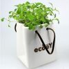 園藝盆栽創(chuàng)意禮品 工藝擺件陶瓷擺件zakka多肉植物盆栽特價(jià)促銷