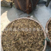 野花紅種子 海棠嫁接用磚木種子