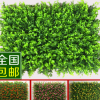 批發(fā)仿真草坪 墻面裝飾綠色假草坪草皮 尤加利什錦草仿真綠植墻皮