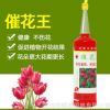 暉皇園林養(yǎng)花專用營(yíng)養(yǎng)液水培土培花卉肥料蘭花牡丹有機(jī)花肥催花王