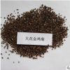觀賞花卉大花金雞菊重瓣大花金雞菊庭院公園小區綠化用金雞菊