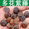 林木種子新采優(yōu)質(zhì)多花紫藤種子朱藤招藤招豆藤藤蘿種子紫藤花種子