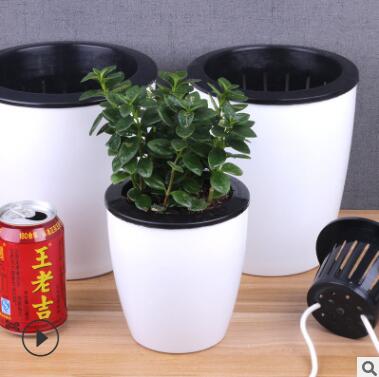 批發自動吸水懶人花盆 水培懶人盆 塑料樹脂大號創意綠蘿盆栽花盆