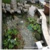 深圳景觀魚池假山塑石水景噴泉水凈化過濾循環系統