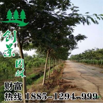 【紅王子錦帶】紅王子錦帶_價格_圖片_產(chǎn)地報價表