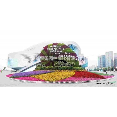 木槿批發基地供應各類規格的木槿工程苗