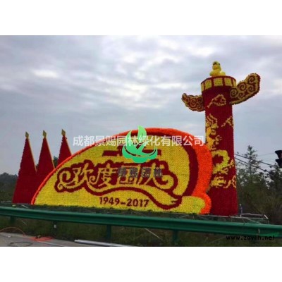 茶梅球，茶梅籠子，茶梅球形，茶梅籠子出售