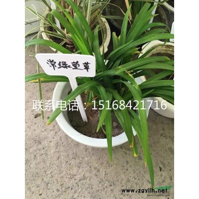 花葉曼