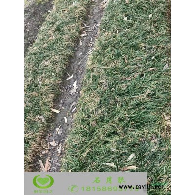 黃棣棠蕭山產