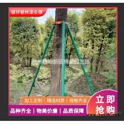 紫葉李