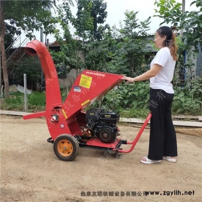 園林綠化樹枝粉碎機 桃樹枝粉碎機小型樹枝粉碎機價格