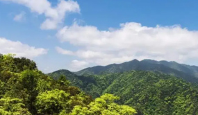 廣東啟動新一輪林草濕調(diào)查監(jiān)測